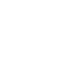 Skills Institute Soccer League logo